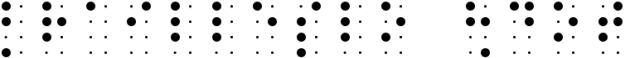 BrailleSlo 8dot