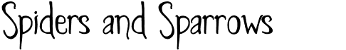 Spiders And Sparrows